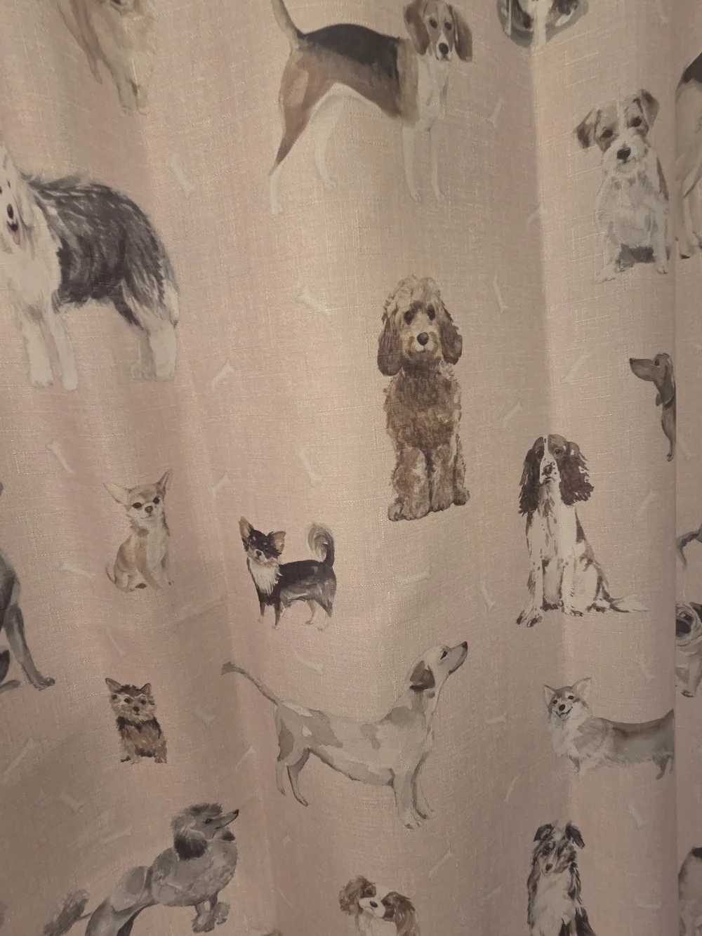 Dog Print Shower Curtain - Pink